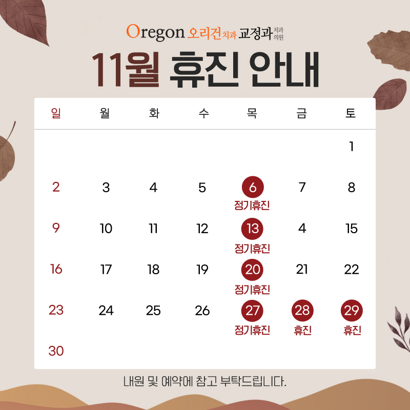11월 진료안내