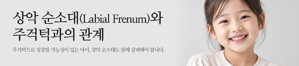 상악 순소대와 주걱턱과의 관계